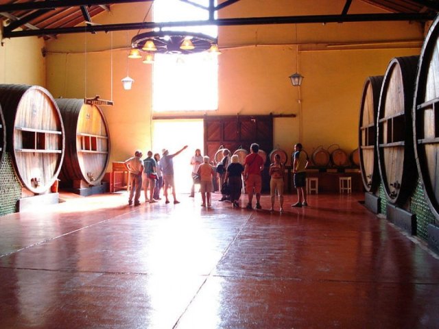 Día 9: Mendoza