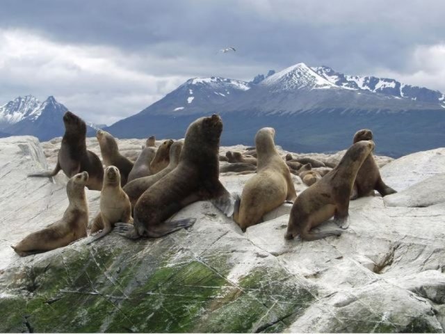 Día 5: Ushuaia
