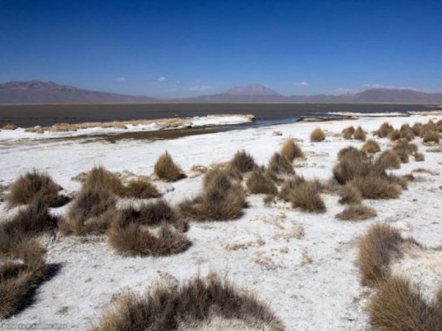 Día 12: Cusco – Arequipa