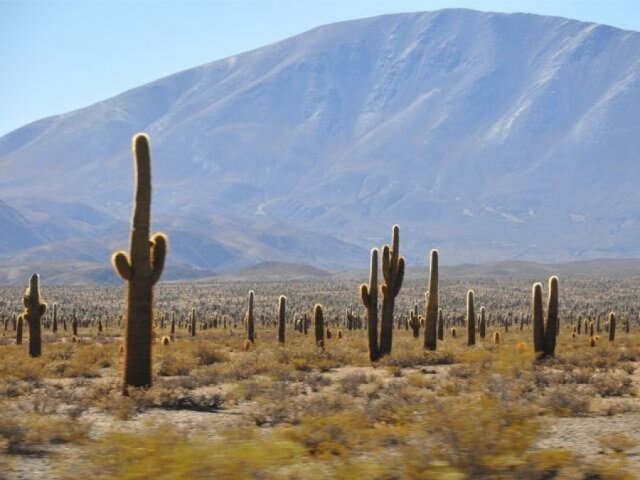 Día 2: 