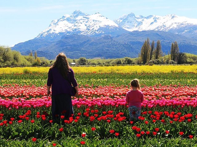 Esquel y 10 paseos y actividades imperdibles