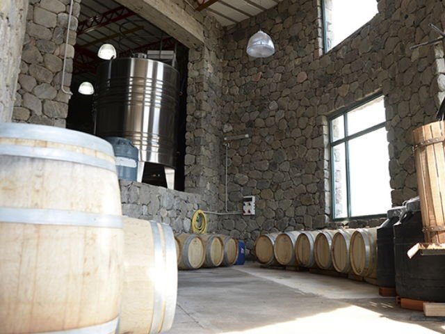 ¿Sabías que la primer bodega rural comunitaria de Sudamérica y la 3ra en el mundo, está en Argentina?