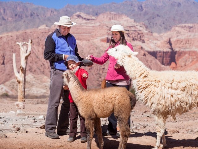 Slow Travel, descansar y además, ayudar al medioambiente