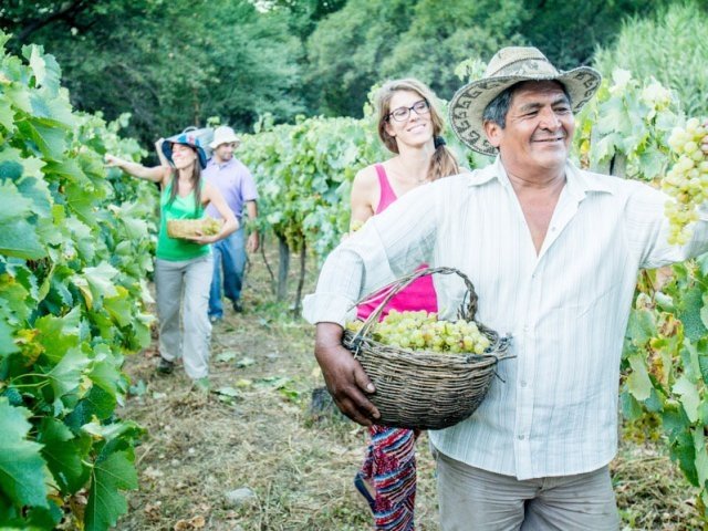 Slow Travel, descansar y además, ayudar al medioambiente