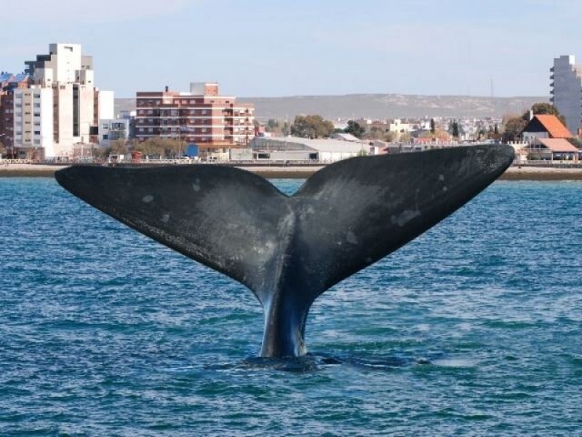 Puerto Madryn