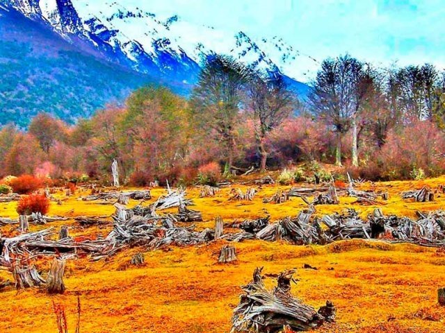Parque Nacional Tierra del Fuego