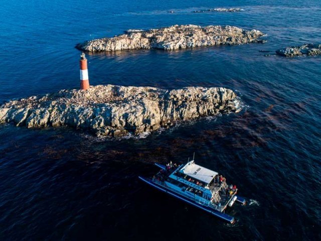 Yates isla Lobos, Pajaros, Bridges y Faro Les Eclaireurs