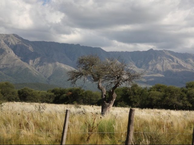 Naturaleza en las sierras centrales de Argentina